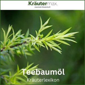 Teebaumol