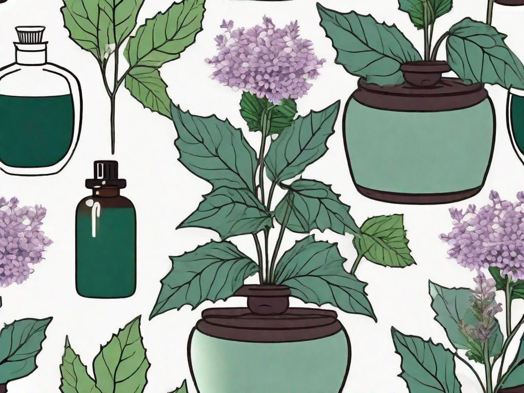 Patchouli plant with its leaves and flowers