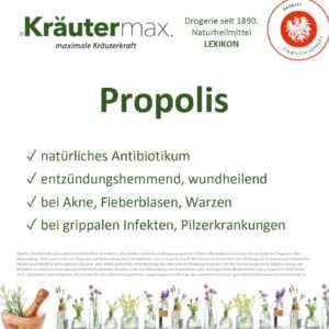 Propolis und Immunsystem: Wie es die Abwehrkräfte unterstützen kann. 2 Propolis Vitalstoff Foto web