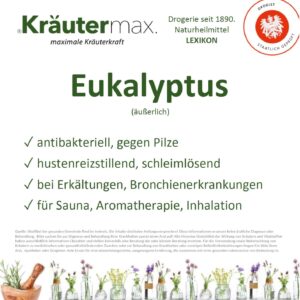 Eukalyptus auserlich Vitalstoff Foto web