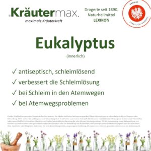 Eukalyptus innerlich Vitalstoff Foto web