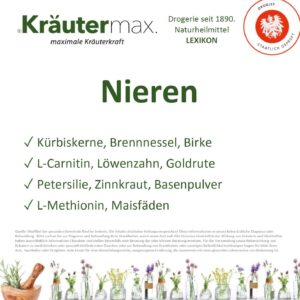 Niereninfektion: Symptome, Ursachen und natürliche Unterstützungsmethoden für eine gesunde Niere. 2 Nieren Thema Foto web