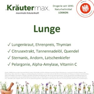Lungenfibrose: Ursachen, Symptome und Lebensstiländerungen zur Unterstützung. 3 Lunge Thema Foto web