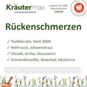 Rückenschmerzen: Ursachen, Linderung und Vorbeugung mit natürlichen Ansätzen. 2 Rückenschmerzen