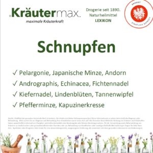 Rhinitis: Symptome, Ursachen und natürliche Ansätze zur Linderung von chronischem Schnupfen. 2 Schnupfen Thema Foto web