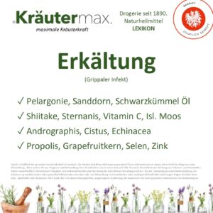 Erkältung: Vorbeugung, Symptome und natürliche Heilmittel gegen Erkältungen. 1 Erkältung
