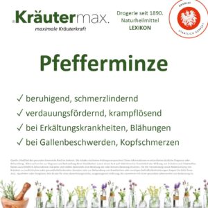 Pfefferminze Vitalstoff Foto web