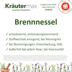 Brennnesseltee: Ein heißer Aufguss mit entzündungshemmenden Eigenschaften 2 Brennnessel Vitalstoff Foto web