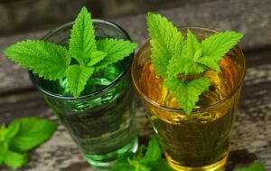 lemon balm 770051 640