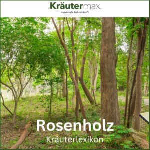 Rosenholz