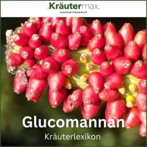 Glucomannan