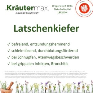 Latschenkiefer Vitalstoff Foto web