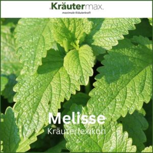 Melisse