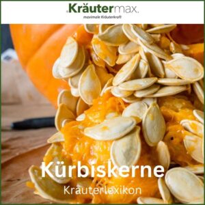 Kurbiskerne