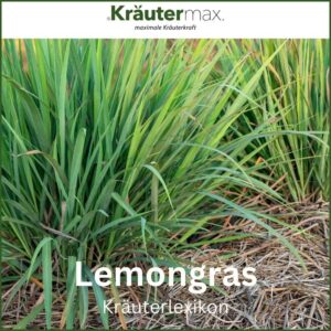 Lemongras