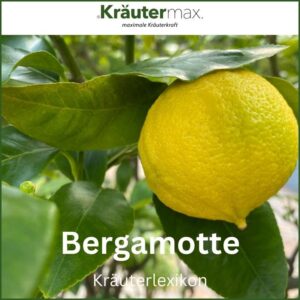 Bergamotte