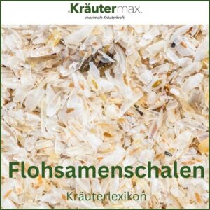 Flohsamenschalen: Die natürliche Lösung für Verdauungsprobleme 1 Flohsamenschalen