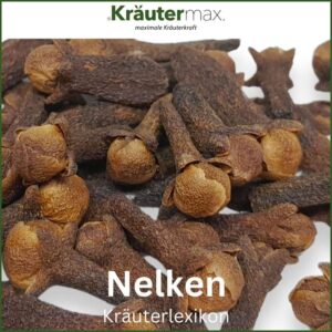 Nelken